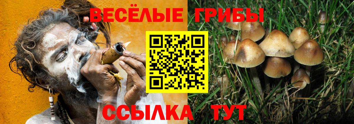 Псилоцибиновые грибы Cubensis  Псилоцибиновые грибы GOLDEN TEACHER  Ржев  Вход с VPN 
